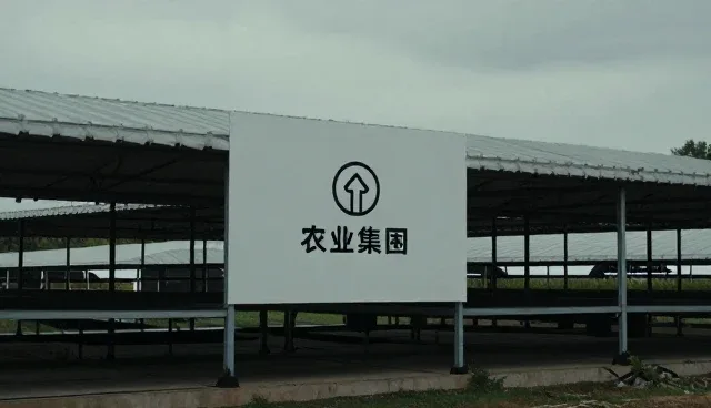 影视策划中理解偏差的常见问题与处理建议