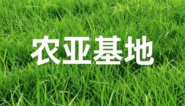 平面设计中的内容创新如何提升活动策划执行效率